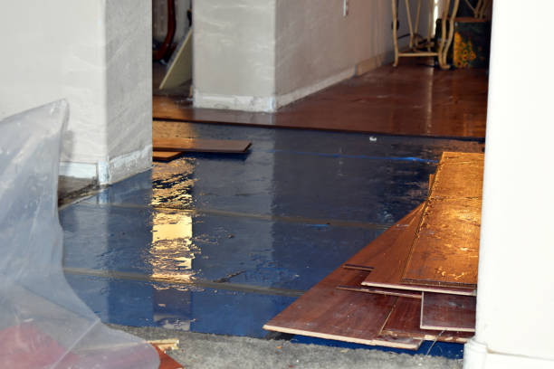 Professional Sewage Cleanup technician working in Athelstane, WI